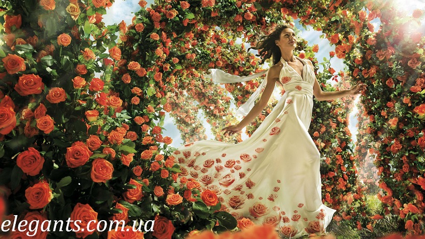 Как выбрать цветы в подарок? Новости на сегодня в мире цветов, купить цветы в подарок на сайте интернет супермаркета - магазина одежды «Элегант» в Сумах (Украина) - каталог цветов (смотреть онлайн бесплатно видео и фото девушки топ модели). как выбрать цветы в подарок,цветы,цветы купить,сад,огород,детский сад,дети в саду,грибы,купить грибы,сушенные грибы,консервированые грибы,салат с грибами,рецепты с грибами,грибы фото,заказывайте гриба,купить онлайн белые грибы,курица с грибами,грибы в духовке,цветы,купить цветы,семена цветов,семена,семя,семю,купить семена,купить семян,семена почтой,арбуз,семена магазин,интернет семена,интернет семян,интернет магазин семян,куплю семена,каталог семена,каталог семян,капуста,учеба,среднее образование,внешкольная работа,виктория,клуб виктория,детско - юношеский центр,перец,сладкий перец,болгарский перец,морковь,семена моркови,полезные свойства моркови,новости,полезные новости,последние новости,новости на сегодня,новости онлайн